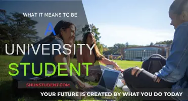 The University Experience: Navigating the Journey of Student Life