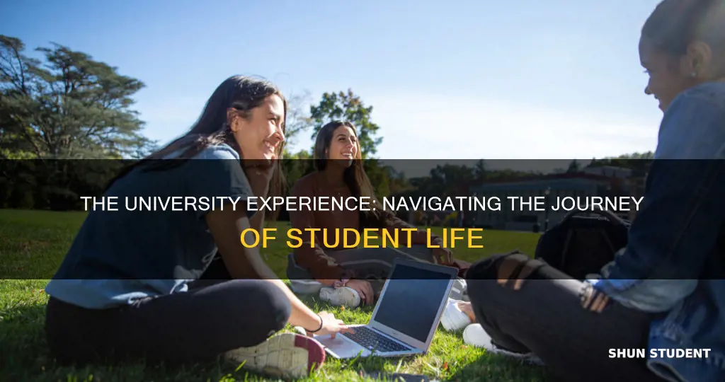 what it means to be a university student