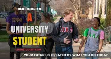 University Life: Navigating the Student Experience