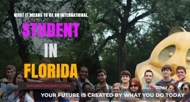 International Students in Florida: A Unique Perspective