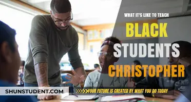 Teaching Black Students: Insights, Challenges, and Christopher's Story