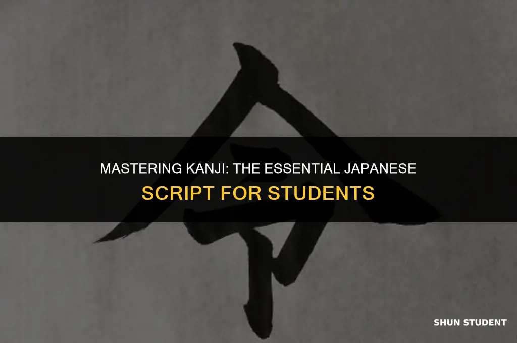 what japanese scriors do japanese students have to learn