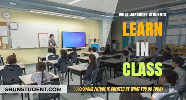 Exploring the Curriculum: A Glimpse into Japanese Classrooms