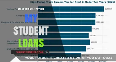 Lucrative Careers to Repay Student Loans Faster
