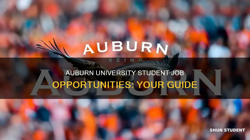 what jobs are available as a student for auburn university
