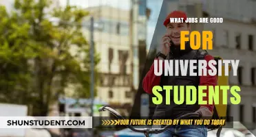 Lucrative Jobs for University Students: Best Options