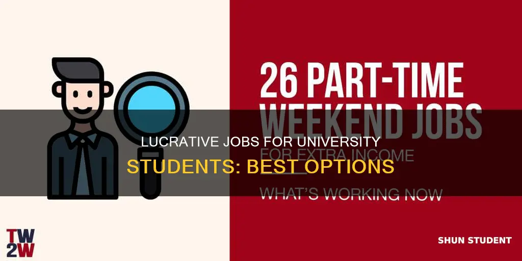 what jobs are good for university students