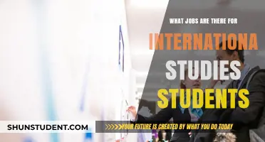 Career Prospects for International Studies Graduates