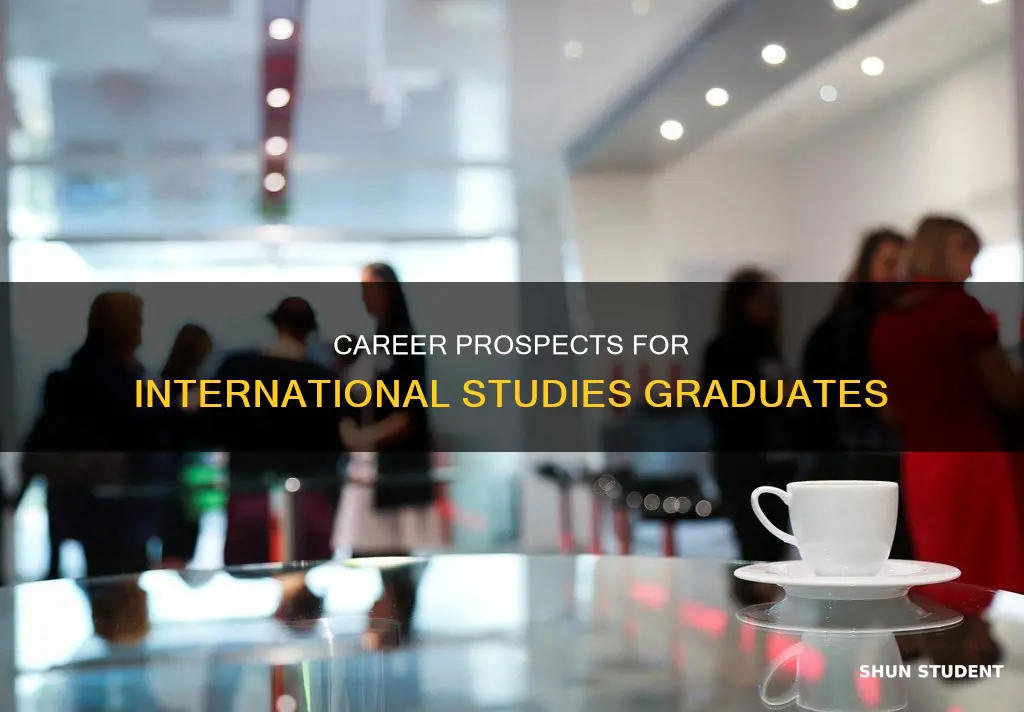 what jobs are there for international studies students
