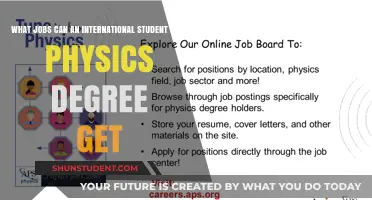 Career Options for International Students with a Physics Degree