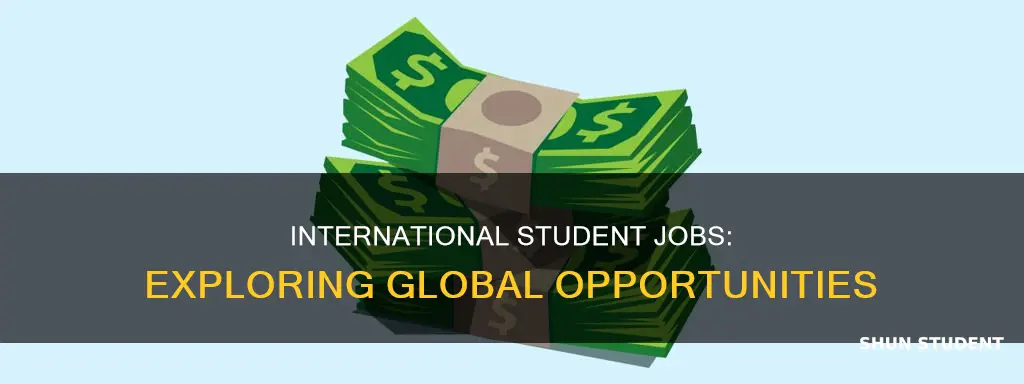 what jobs can i work with international students