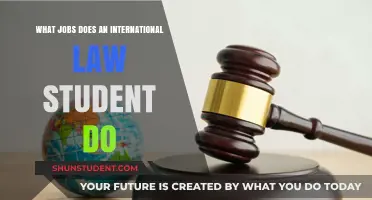 International Law Careers: Diverse Job Opportunities