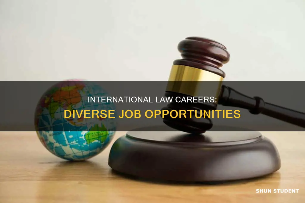 what jobs does an international law student do