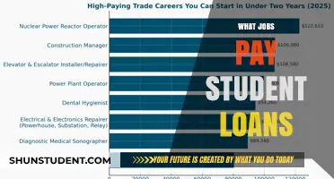 Lucrative Careers That Help Repay Student Loans