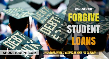 Jobs That Offer Student Loan Forgiveness: A Comprehensive Guide