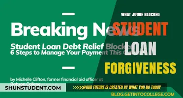Judge Halts Biden's Student Loan Forgiveness Plan: What Happened?