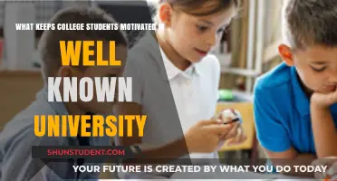 Prestigious University Students: What Fuels Their Drive?