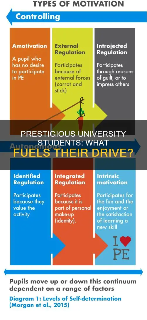 what keeps college students motivated in well known university