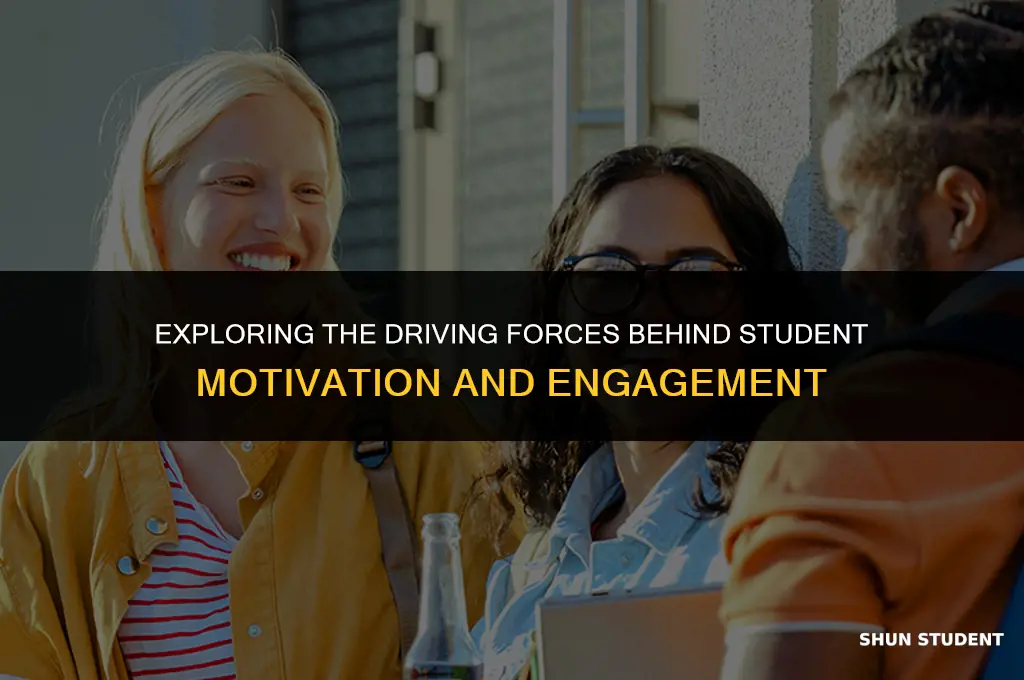 what keeps students motivated to learn