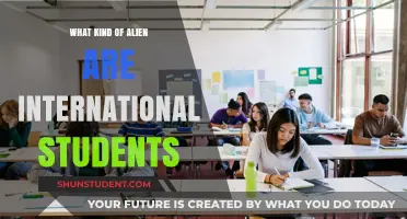 Alien Students: International Students' Unique Struggles and Strengths