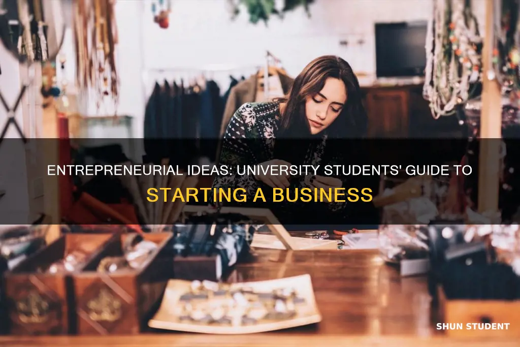 what kind of business can a university student do