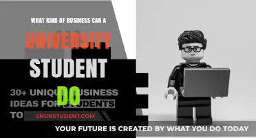 Lucrative Business Ideas for University Students