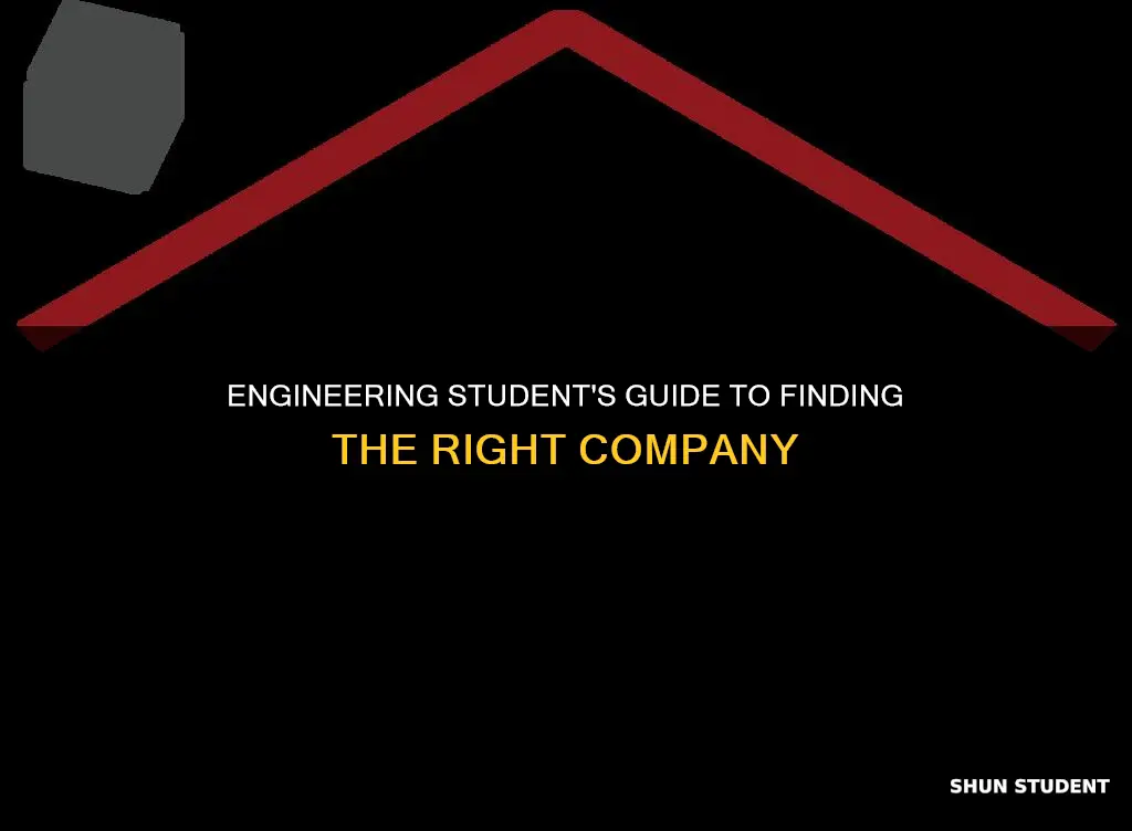what kind of company international engineering student need to find