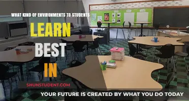 Exploring Optimal Learning Environments for Student Success