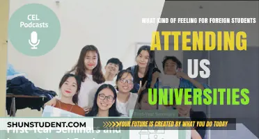 A New Chapter: Foreign Students' US University Experience