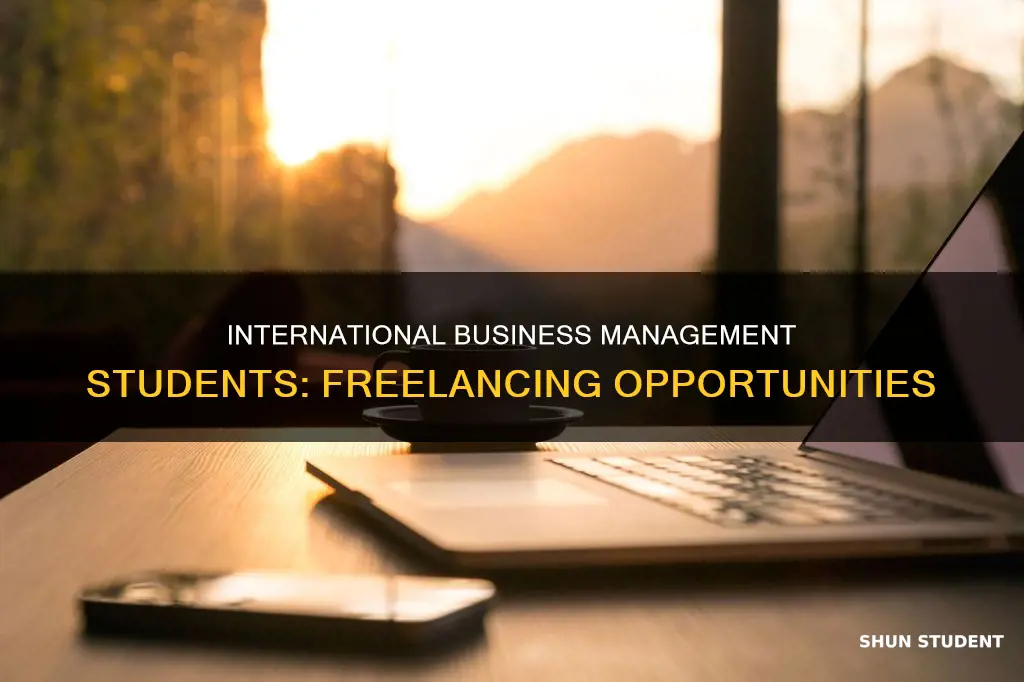 what kind of freelancing international business management student can do