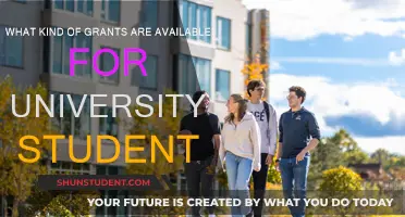 Uncover the Secrets: Grants for University Students Revealed