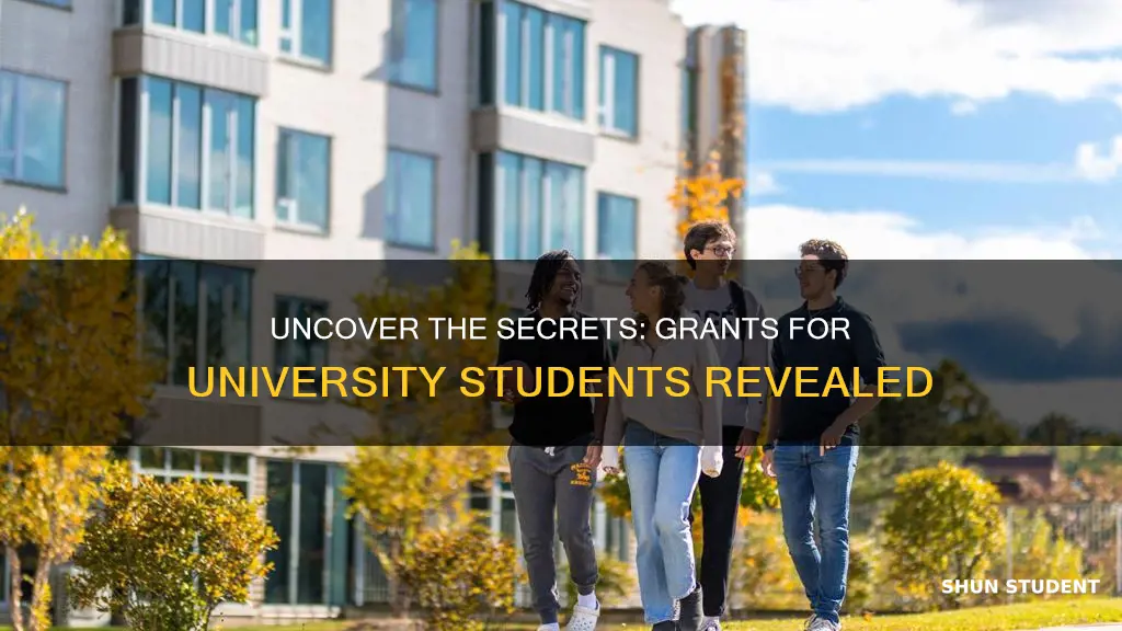 what kind of grants are available for university students