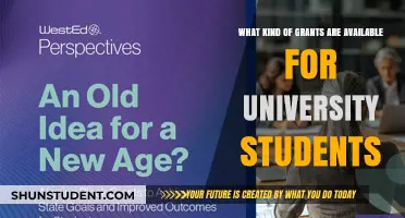 University Student Grants: What's Available and How to Apply?