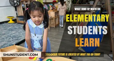 Exploring the Foundations: Math Skills for Elementary Students