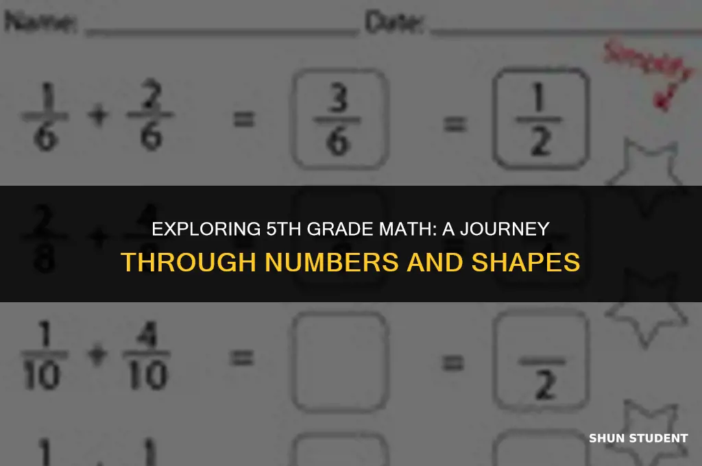 what kind of math do students learn in 5th grade