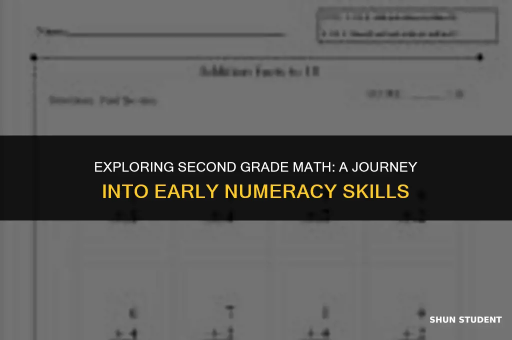 what kind of math do students learn in second grade
