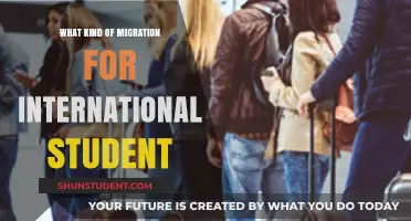 International Student Migration: Understanding Your Options