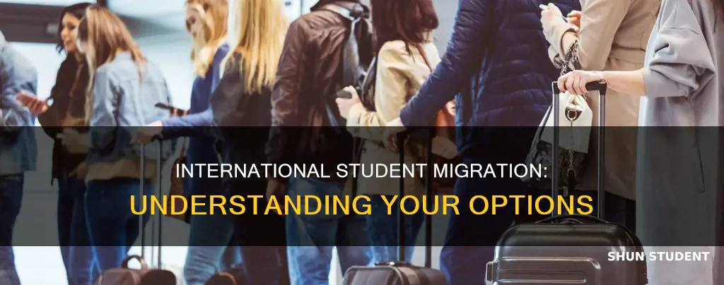 what kind of migration for international student