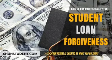 Qualifying Non-Profits for Student Loan Forgiveness: What You Need to Know