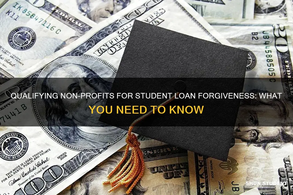 what kind of non profits qualify for student loan forgiveness