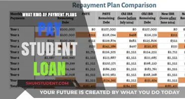 Student Loan Payment Plans: What Are Your Options?