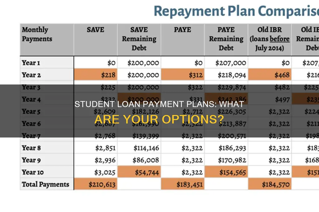 what kind of payment plans pay student loan