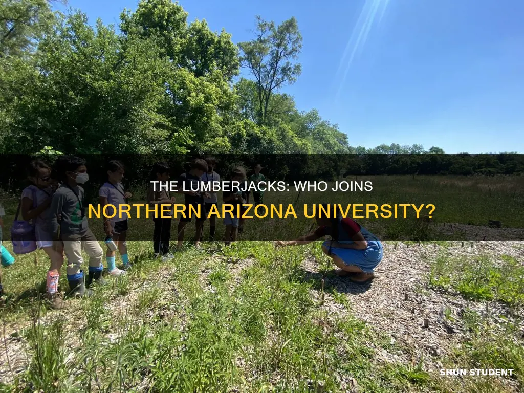 what kind of student go to northern arizona university
