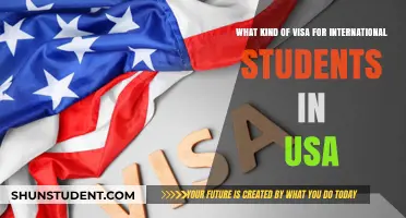 International Student Visa Options in the USA