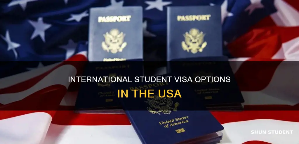 what kind of visa for international students in usa