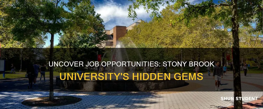 what kind of work available in stony brook university students