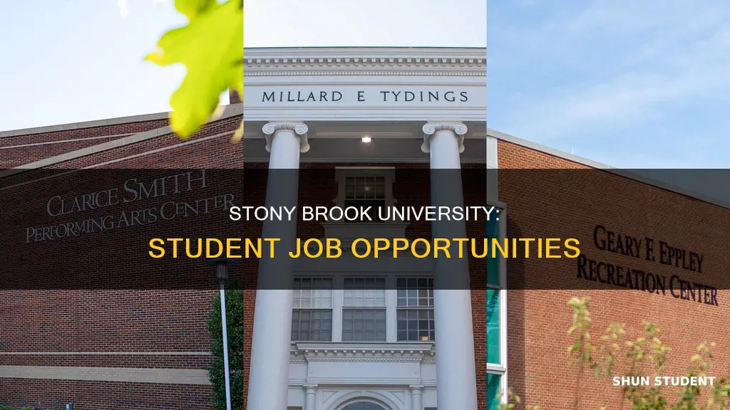 what kind of work available in stony brook university students