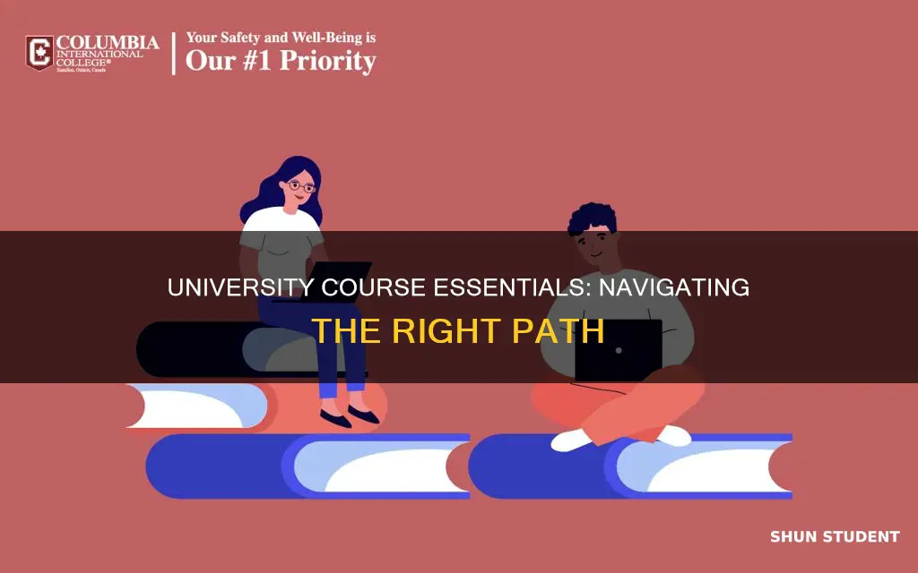 what kinds of courses are useful for university students