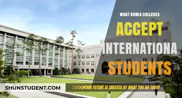 International Students: Which Korean Colleges to Apply To?