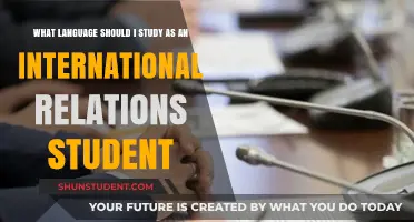 Languages for IR Students: Which One to Choose?